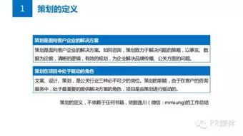 公關(guān)必讀 從問(wèn)題到方案——項(xiàng)目策劃與公關(guān)服務(wù)的全流程攻略