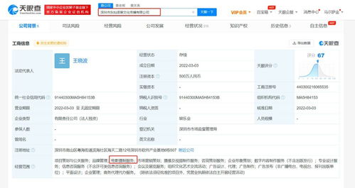 項目策劃與公關(guān)服務(wù) 從構(gòu)想到影響力的系統(tǒng)化解決方案